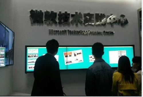 软件开发 研究、设计、开发与维护计算机软硬件系统的综合能力